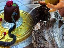 धूमधाम से