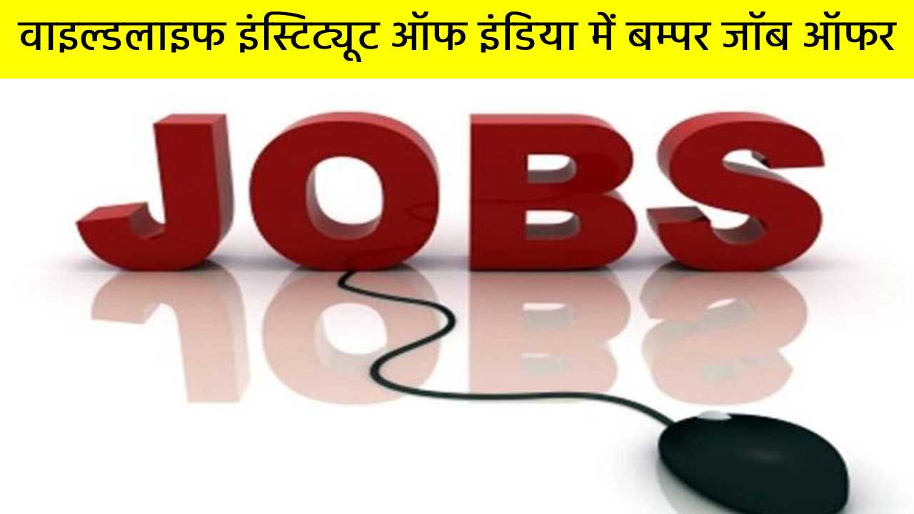 वाइल्डलाइफ इंस्टिट्यूट