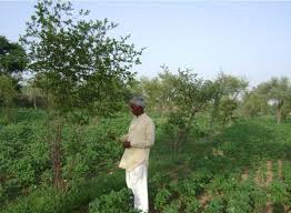 राजस्थान में