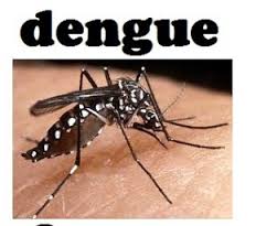 मकराना और