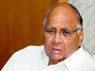 भाजपा के