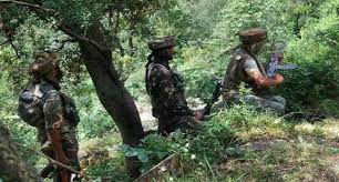 नौशेरा सेक्टर