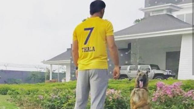 IPL में