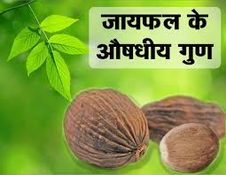 जायफल के