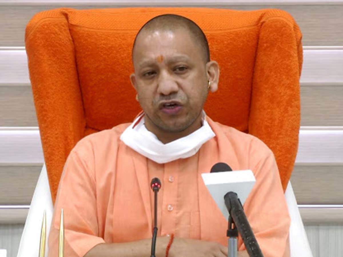Yogi Cabinet