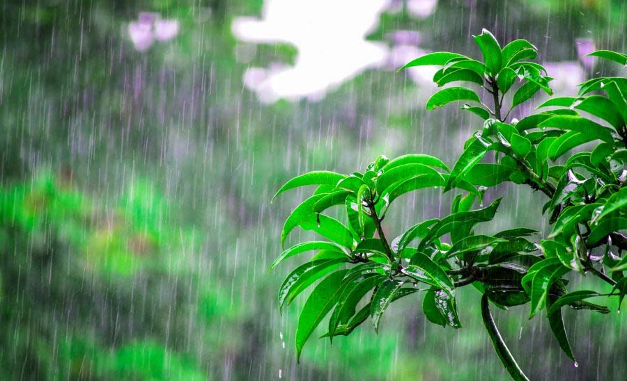 weather update:इस