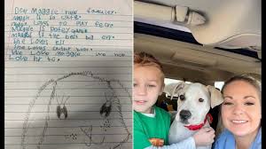 Dog Viral