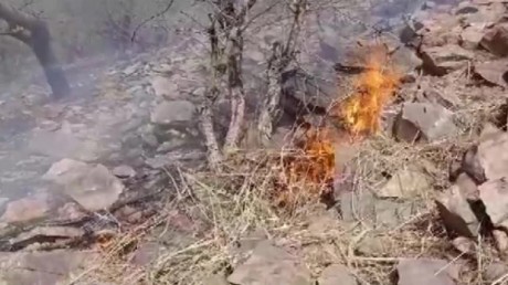 अलवर के