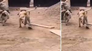 Video: जब
