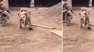 Video: जब