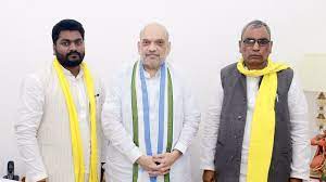 बीजेपी प्रमुख