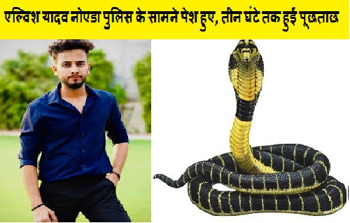 एल्विश यादव