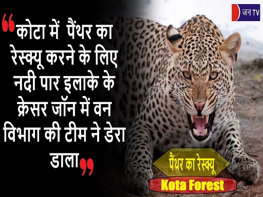 कोटा में
