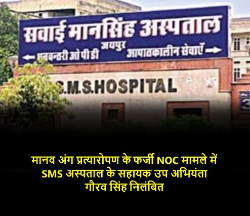मानव अंग