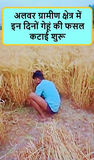 अलवर ग्रामीण