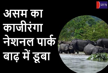 असम का