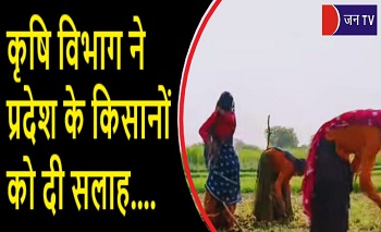 कृषि विभाग