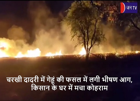 चरखी दादरी